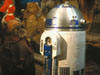 r201.JPG (93751 bytes)