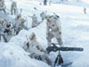 hoth206.JPG (120708 bytes)