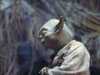 yoda02.JPG (80818 bytes)