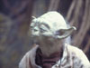 yoda03.JPG (72348 bytes)