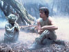 yoda05.JPG (116392 bytes)