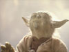 yoda11.JPG (76331 bytes)