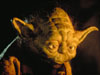 yoda13.JPG (84426 bytes)